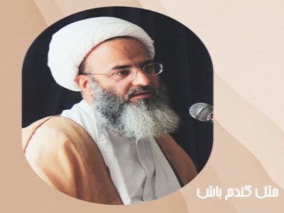 مثل گندم باش